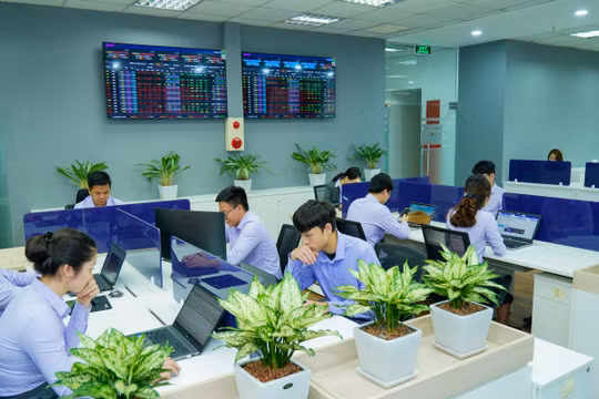 EVS: VN-Index đã tạo đáy trung hạn, có thể lấy lại mốc 1.400 điểm nửa cuối năm 2022