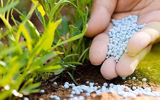 EVS: Triển vọng khả quan giúp kéo dài chu kỳ tăng giá của nhóm phân bón và hoá chất (Ảnh minh hoạ - Nguồn: Internet)