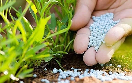 EVS: Triển vọng khả quan giúp kéo dài chu kỳ tăng giá của nhóm phân bón và hoá chất (Ảnh minh hoạ - Nguồn: Internet)