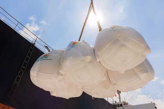 Xuất khẩu 80.000 tấn gạo, LTG lập kỷ lục doanh thu năm 2021