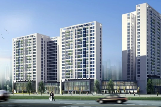 Mối duyên Viwaseen – Tiến Đại Phát