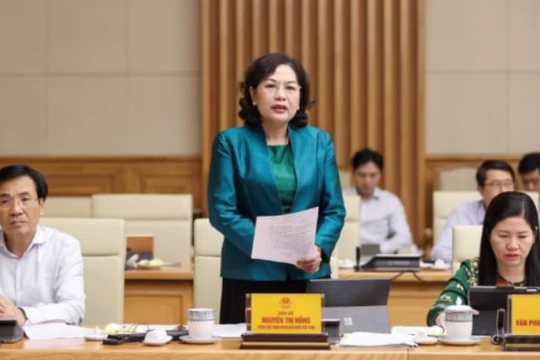 Thống đốc Nguyễn Thị Hồng phát biểu tại phiên thảo luận về kinh tế vĩ mô của Chính phủ hôm 30/7 (Ảnh: VGP)