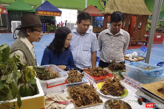 Một góc phiên Chợ sâm Ngọc Linh ở Quảng Nam
