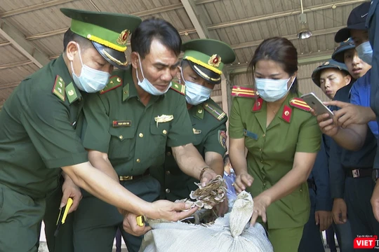 Lực lượng chức năng Đà Nẵng đang kiểm tra lô hàng thảo dược núp bóng rau củ nhập cảnh