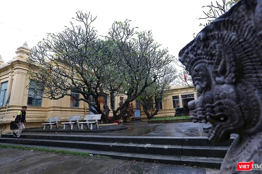 Bảo tàng điêu khắc Chăm (Đà Nẵng)