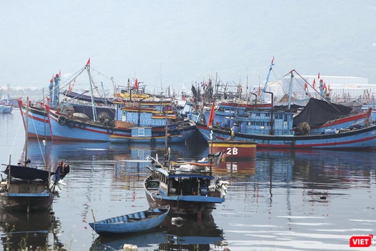 Tàu thuyền neo đậu tại âu thuyền Thọ Quang (Đà Nẵng)