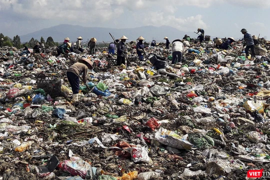 Người dân nhặt rác tại bãi rác Khánh Sơn, Đà Nẵng