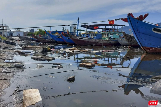 Một góc âu thuyền Thọ Quang (Đà Nẵng) bị rác thải tấn công