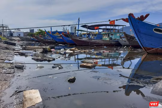 Một góc âu thuyền Thọ Quang (Đà Nẵng) bị rác thải tấn công