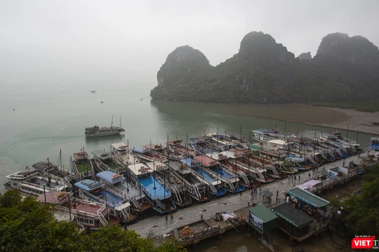 Tàu dịch vụ du lịch trên vịnh Hạ Long