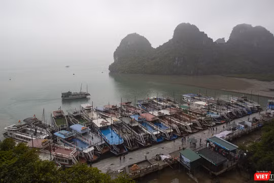 Tàu dịch vụ du lịch trên vịnh Hạ Long