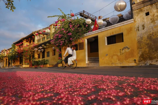 Hội An yên bình đến lạ trong những ngày cận kề Tết Nguyên đán Canh Tý 2020
