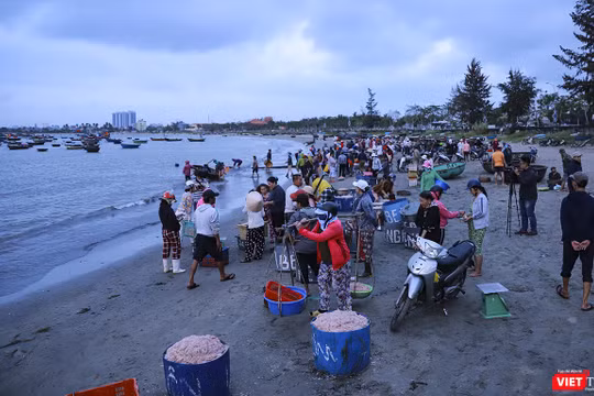 Bãi biển làng chài Mân Thái, dưới chân bán đảo Sơn Trà (Đà Nẵng) vào mùa ruốc muộn