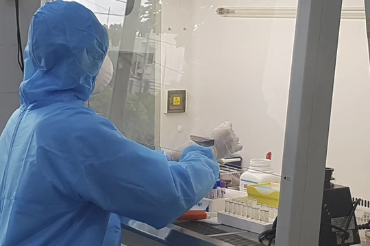 Xét nghiệm bệnh phẩm tại CDC Quảng Nam (ảnh DL)