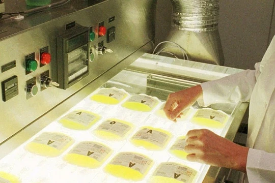 Thí nghiệm mới nhất về bệnh Alzheimer's (Ảnh: Business Insider)