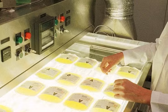 Thí nghiệm mới nhất về bệnh Alzheimer's (Ảnh: Business Insider)