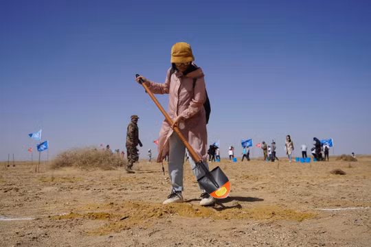 Kể từ khi ra mắt vào năm 2016, sáng kiến ​​Ant Forest của Alipay đã thu hút 500 triệu người dùng, trồng được hơn 100 triệu cây xanh ở những vùng khô cằn nhất của Trung Quốc. Ảnh: SCMP