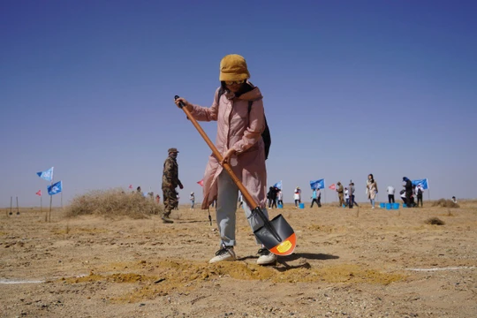 Kể từ khi ra mắt vào năm 2016, sáng kiến ​​Ant Forest của Alipay đã thu hút 500 triệu người dùng, trồng được hơn 100 triệu cây xanh ở những vùng khô cằn nhất của Trung Quốc. Ảnh: SCMP