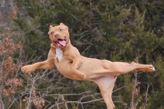 Nguồn: Bright Side