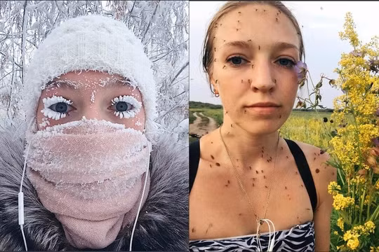 Nguồn: Bright Side