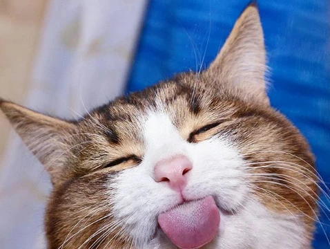 Nguồn: Bright Side