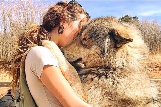 Nguồn: Bright Side