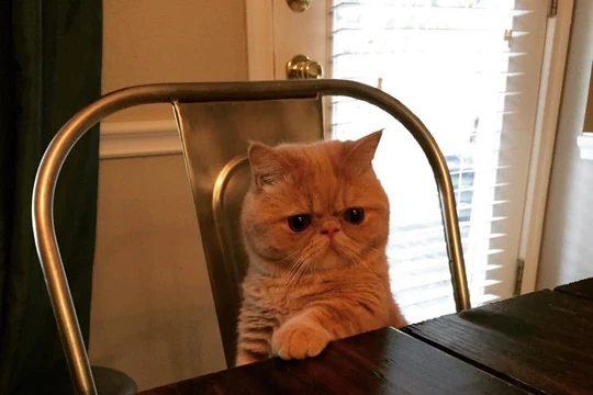 Nguồn: Bright Side