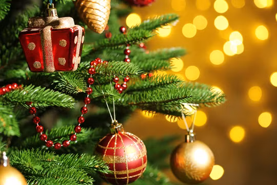 Nước Đức là nơi đầu tiên bắt đầu phong trào trang trí cây thông trong ngày lễ Giáng sinh. Nguồn: Today