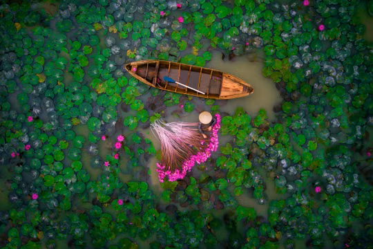 Video thu lại bằng flycam thường đẹp nhất, đem đến sự thú vị cho người xem. Nguồn: The Drone Girl