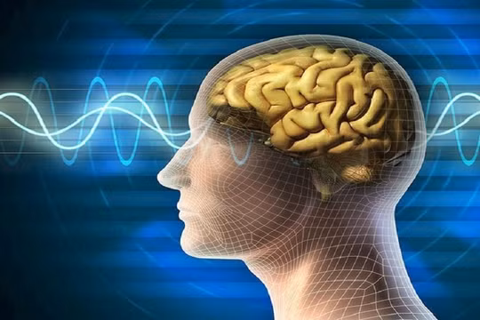 Sóng não có thể điều khiển cánh tay robot