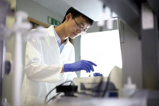 Công cụ tiên tiến này có khả năng phát hiện ung thư dễ dàng, nhanh chóng chỉ với một lượng máu rất nhỏ. 