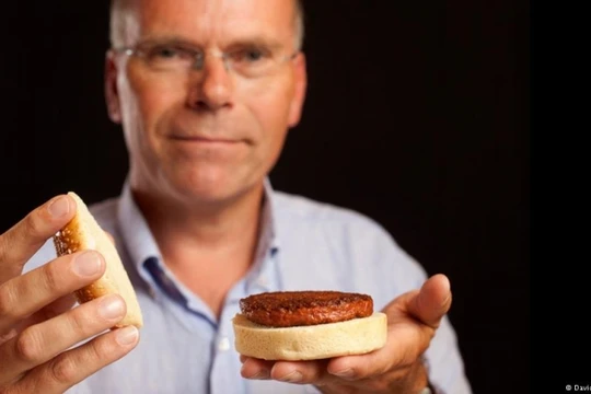 Bánh hamburger đầu tiên được trồng trong phòng thí nghiệm vào năm 2013 tốn hơn 300.000 USD để sản xuất.