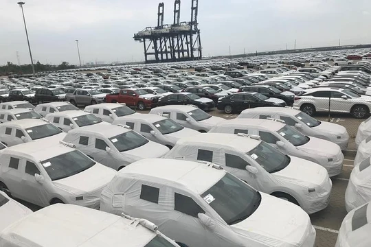 Ô tô nhập khẩu qua cảng Hiệp Phước. Ảnh: T.H 