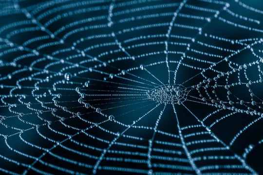 Cơ bắp nhân tạo vốn cần thiết cho các hoạt động vặn xoắn hoặc co kéo của robot, và tơ nhện hứa hẹn là "nguyên liệu" lý tưởng - Ảnh: shutterstock 