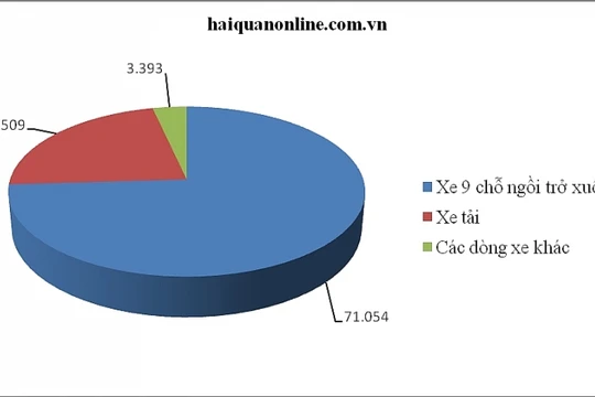 Thị phần 2 dòng xe chính trong cơ cấu tổng sản lượng ô tô nhập khẩu cả nước hết tháng 8/2019, đơn vị "chiếc". Biểu đồ: T.Bình