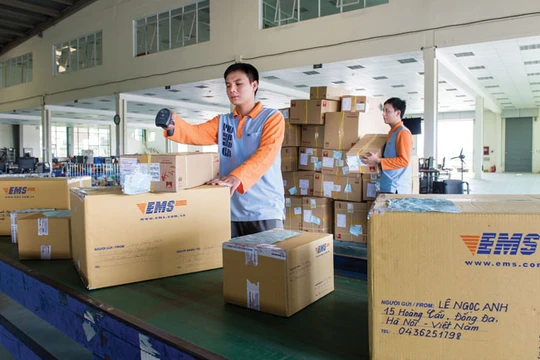 Không có mã bưu chính trên bì thư, bưu kiện nên việc phân loại ở Việt Nam hoàn toàn phải làm thủ công. Ảnh: báo Đầu tư