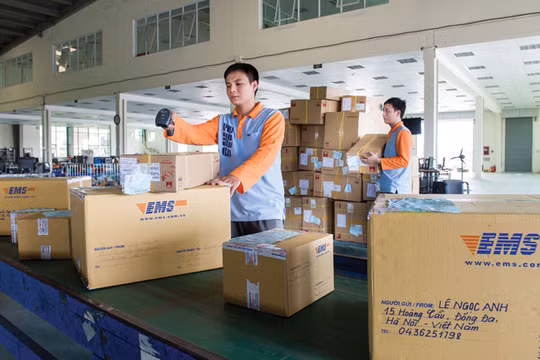 Không có mã bưu chính trên bì thư, bưu kiện nên việc phân loại ở Việt Nam hoàn toàn phải làm thủ công. Ảnh: báo Đầu tư