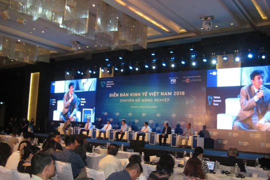 Các diễn giả trong phần giao lưu tại Diễn đàn