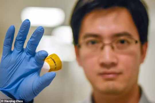 Các nhà khoa học tìm ra chất bán dẫn siêu mỏng giúp chuyển hóa sóng WiFi thành điện năng. Ảnh: DM