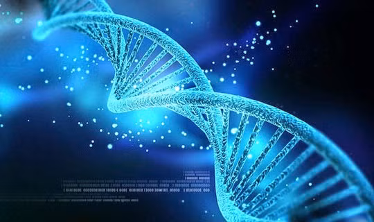 Giải mã ADN rất cần đến công nghệ thông tin. Ảnh: blogsinhhoc.com