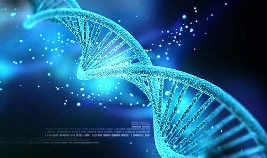 Giải mã ADN rất cần đến công nghệ thông tin. Ảnh: blogsinhhoc.com