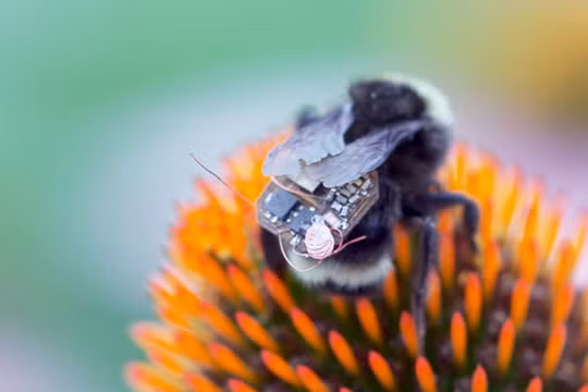 Ảnh: Đại học Washington