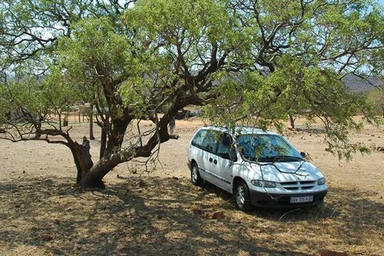 Trời nóng nên đỗ xe dưới bóng cây hoặc những chỗ không có nắng
