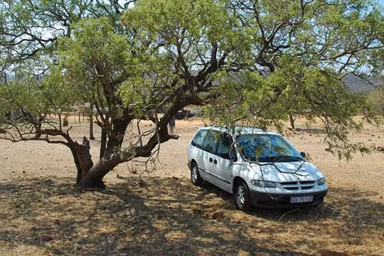 Trời nóng nên đỗ xe dưới bóng cây hoặc những chỗ không có nắng