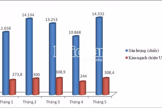 Kết quả nhập khẩu ô tô theo tháng trong 5 tháng đầu năm. Biểu đồ: T.Bình.