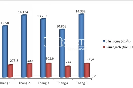 Kết quả nhập khẩu ô tô theo tháng trong 5 tháng đầu năm. Biểu đồ: T.Bình.