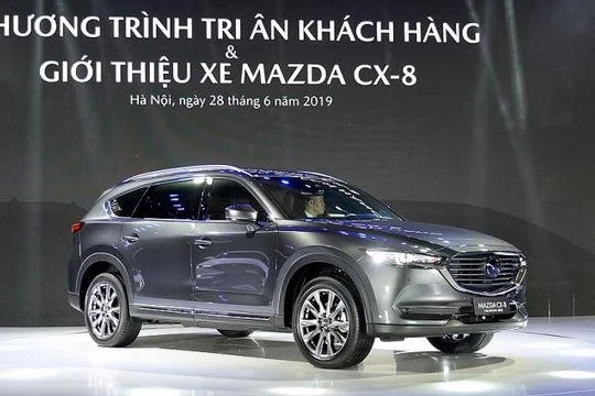 Thaco hiện có quy mô lớn nhất, doanh số và thị phần luôn dẫn đầu thị trường và là doanh nghiệp duy nhất đến thời điểm này sản xuất, phân phối đầy đủ các chủng loại ô tô