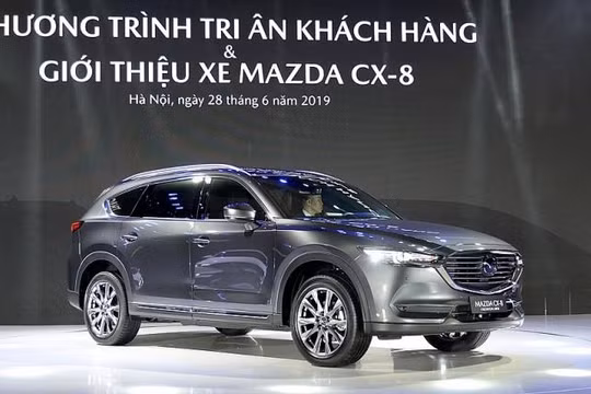 Thaco hiện có quy mô lớn nhất, doanh số và thị phần luôn dẫn đầu thị trường và là doanh nghiệp duy nhất đến thời điểm này sản xuất, phân phối đầy đủ các chủng loại ô tô