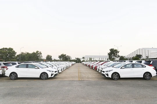 Lô xe Kia Cerato được sản xúat tại Nhà máy Thaco Kia