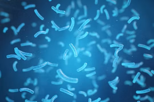 Loại vi khuẩn được kỳ vọng là “vị cứu tinh” của Trái Đất.